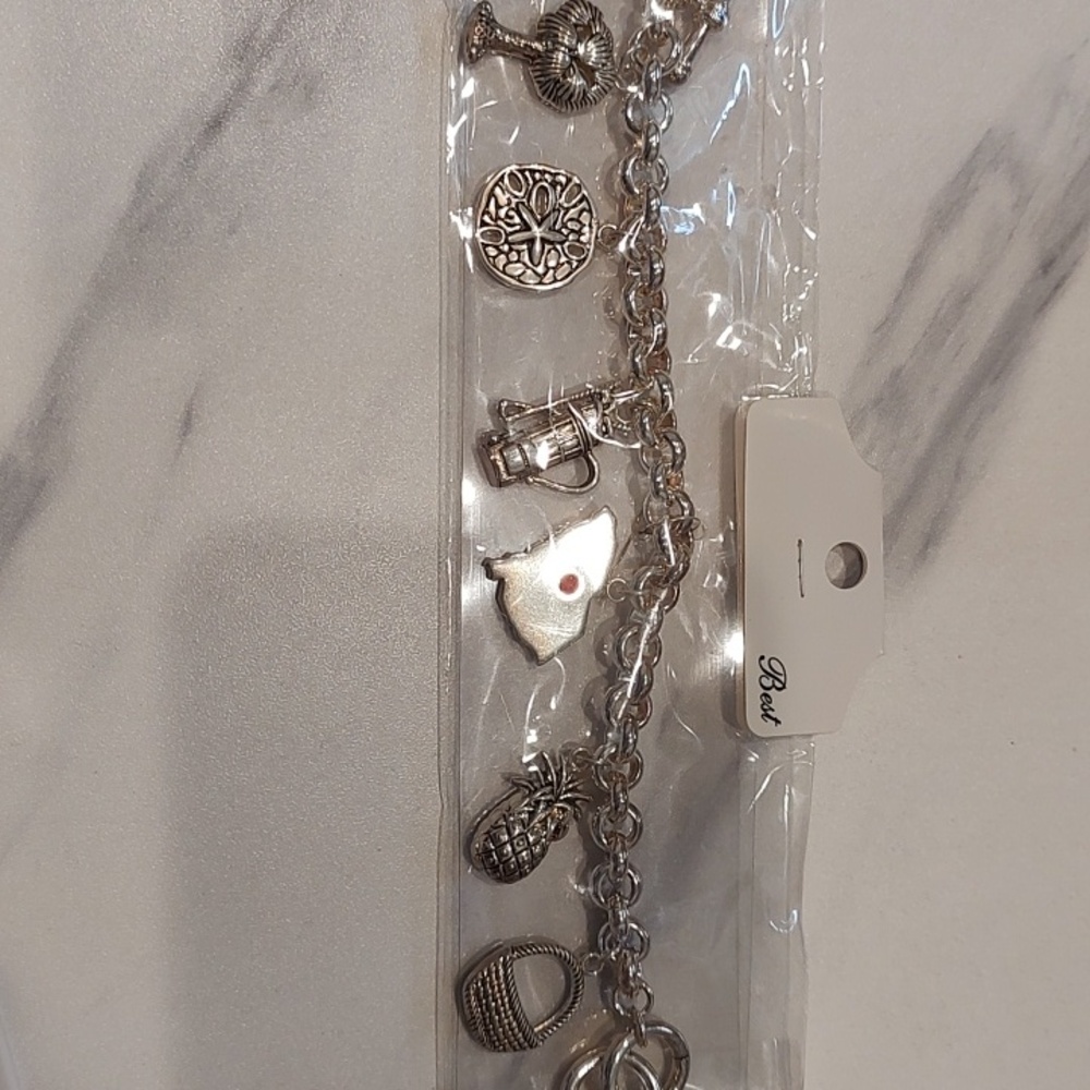 Brand New Silver South Carolina Charm Bracelet With Toggle Clasp